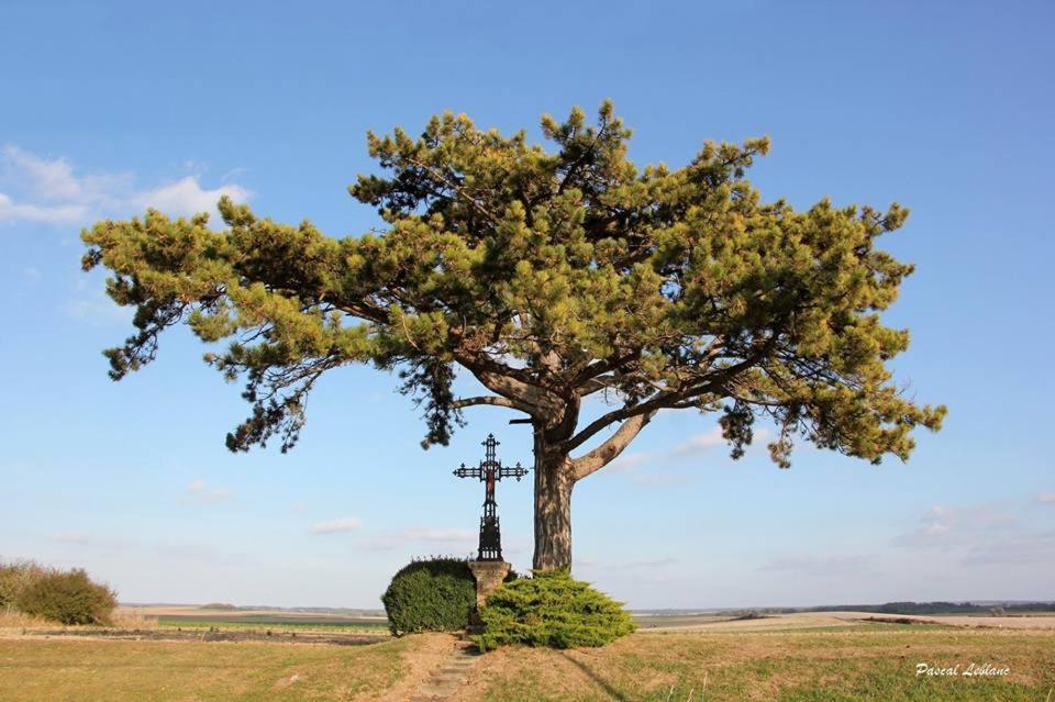 Auberge Du Pied Des Monts Grivy-Loisy Eksteriør bilde